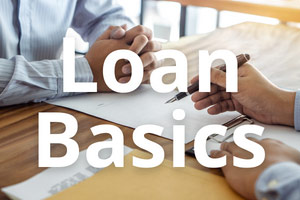Basics of Borrowing